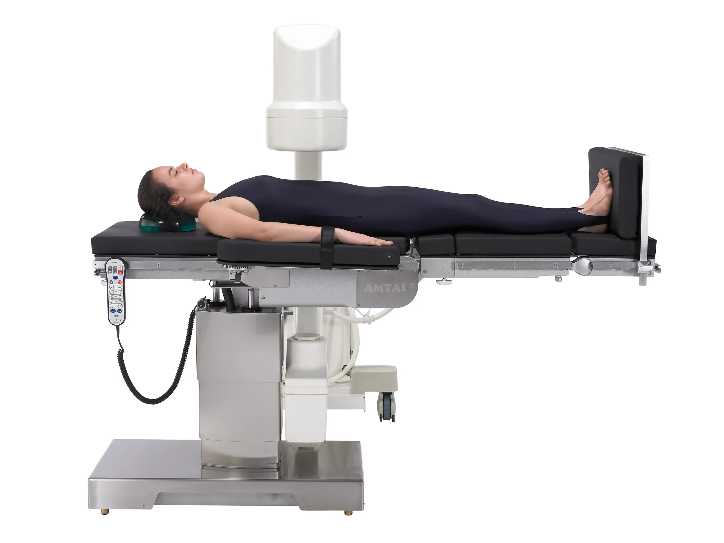 T1000_Cardiovascular in Normal Orientation.jpg