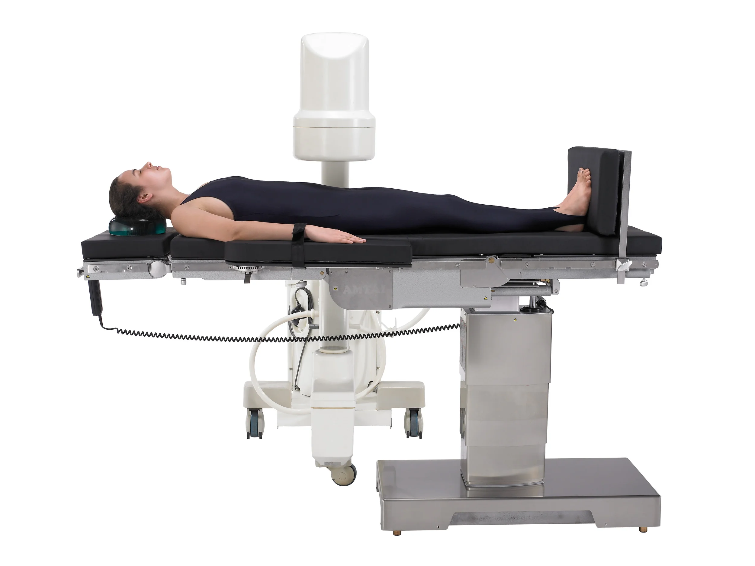T1000_Cardiovascular in Reverse Orientation.jpg