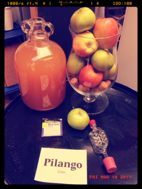 All the stuff you need: Fermentation vessel, juice (in situ) yeast, airlock.