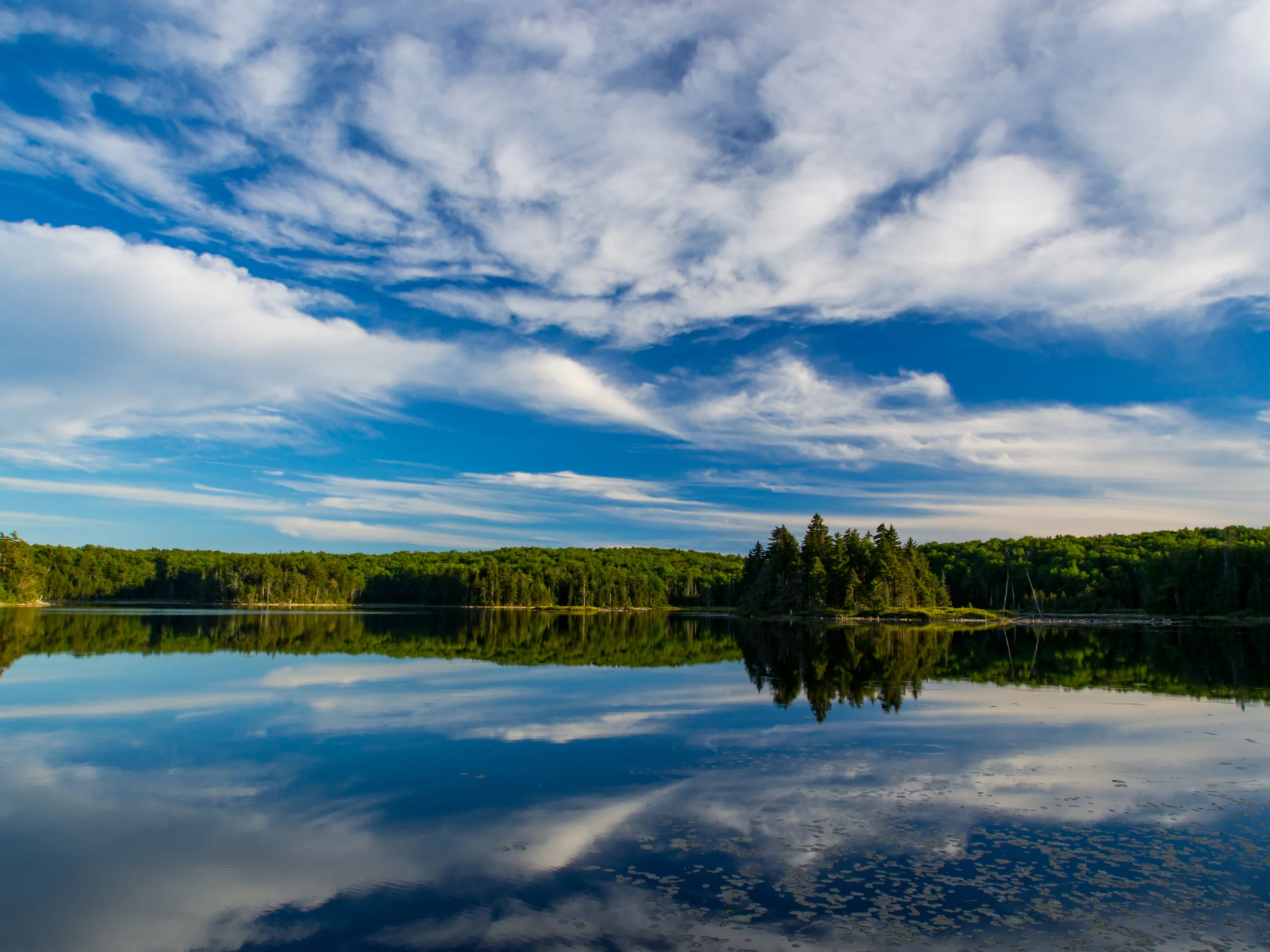 Bourn Pond