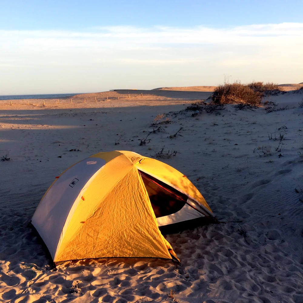 Off Season At Assateague Poop In The Woods