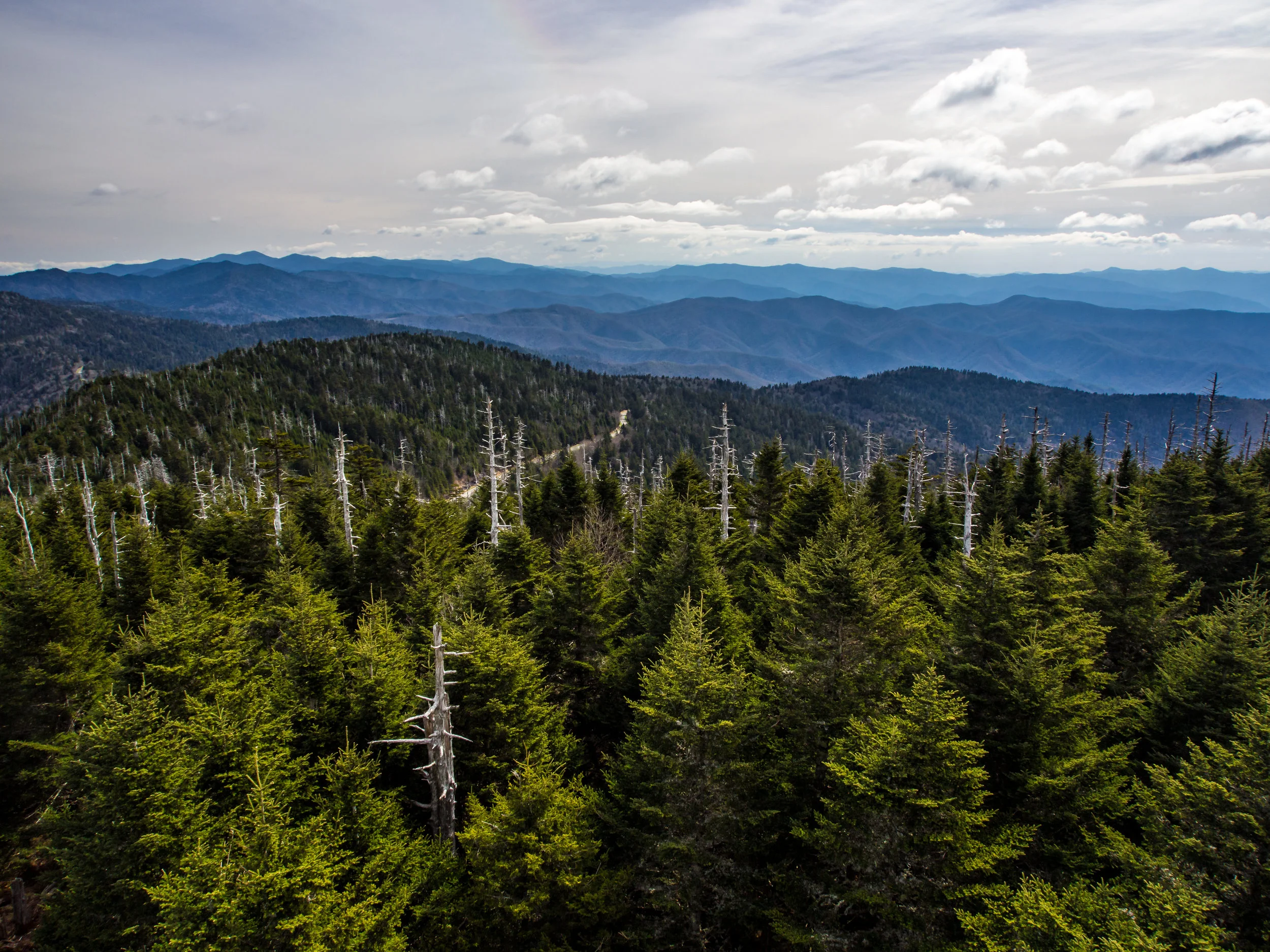 The view from the observation tower on Clingmans Dome.