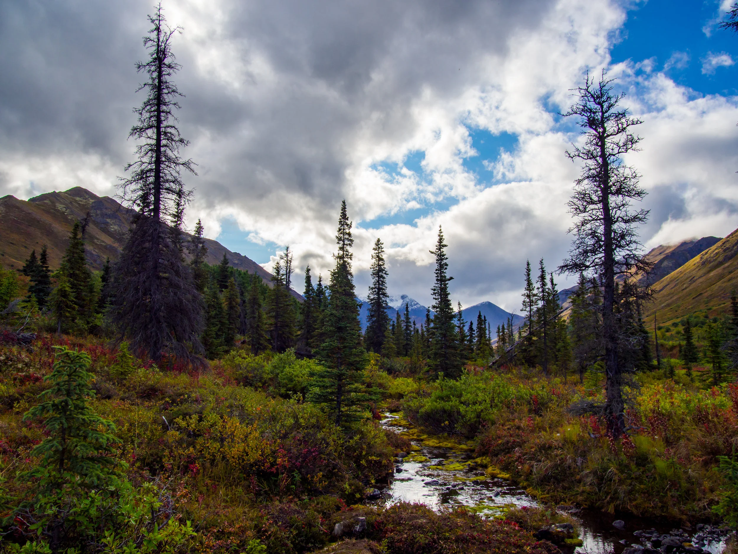 South Fork Eagle River