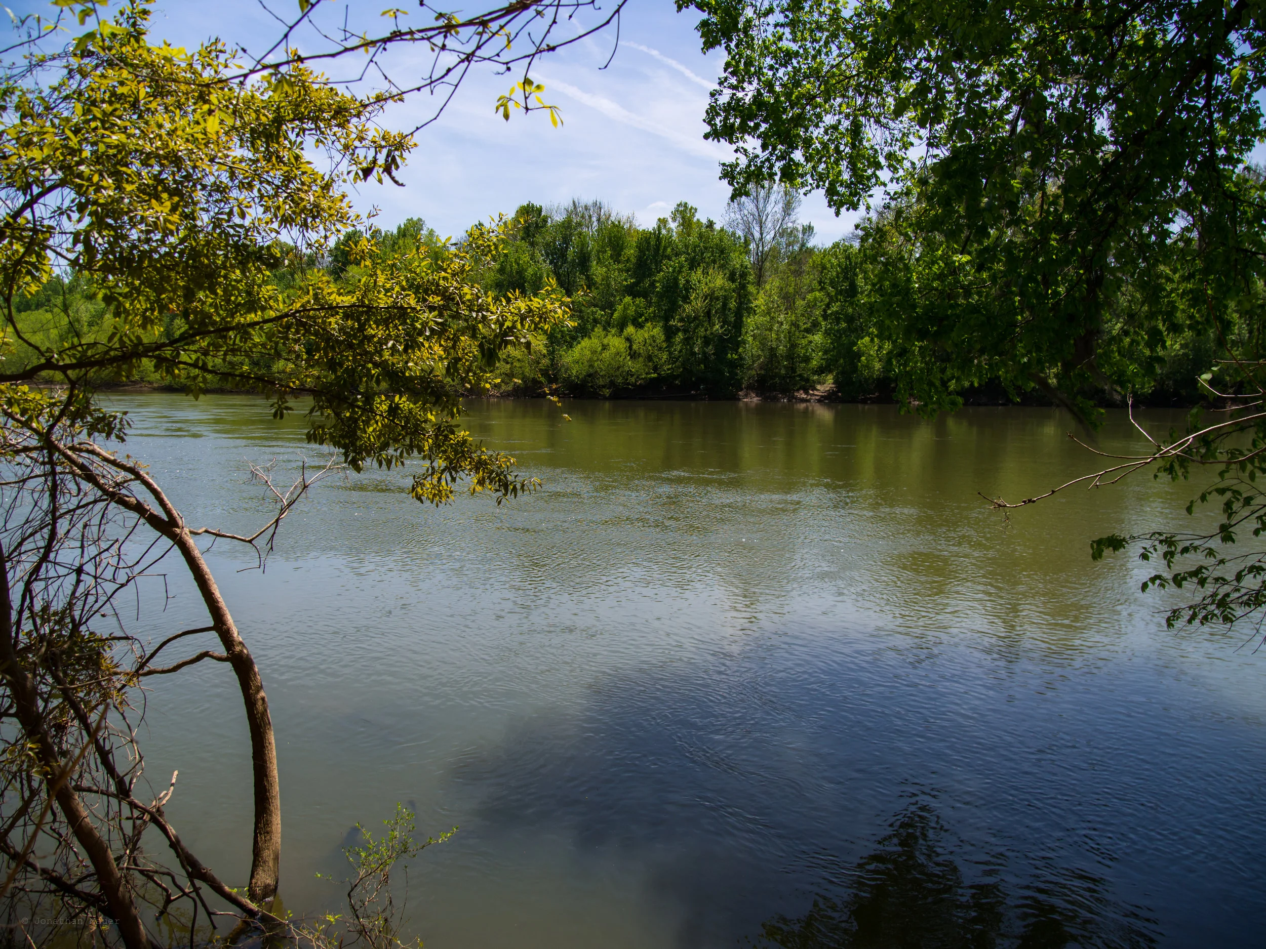 The Congaree River along the River Trail