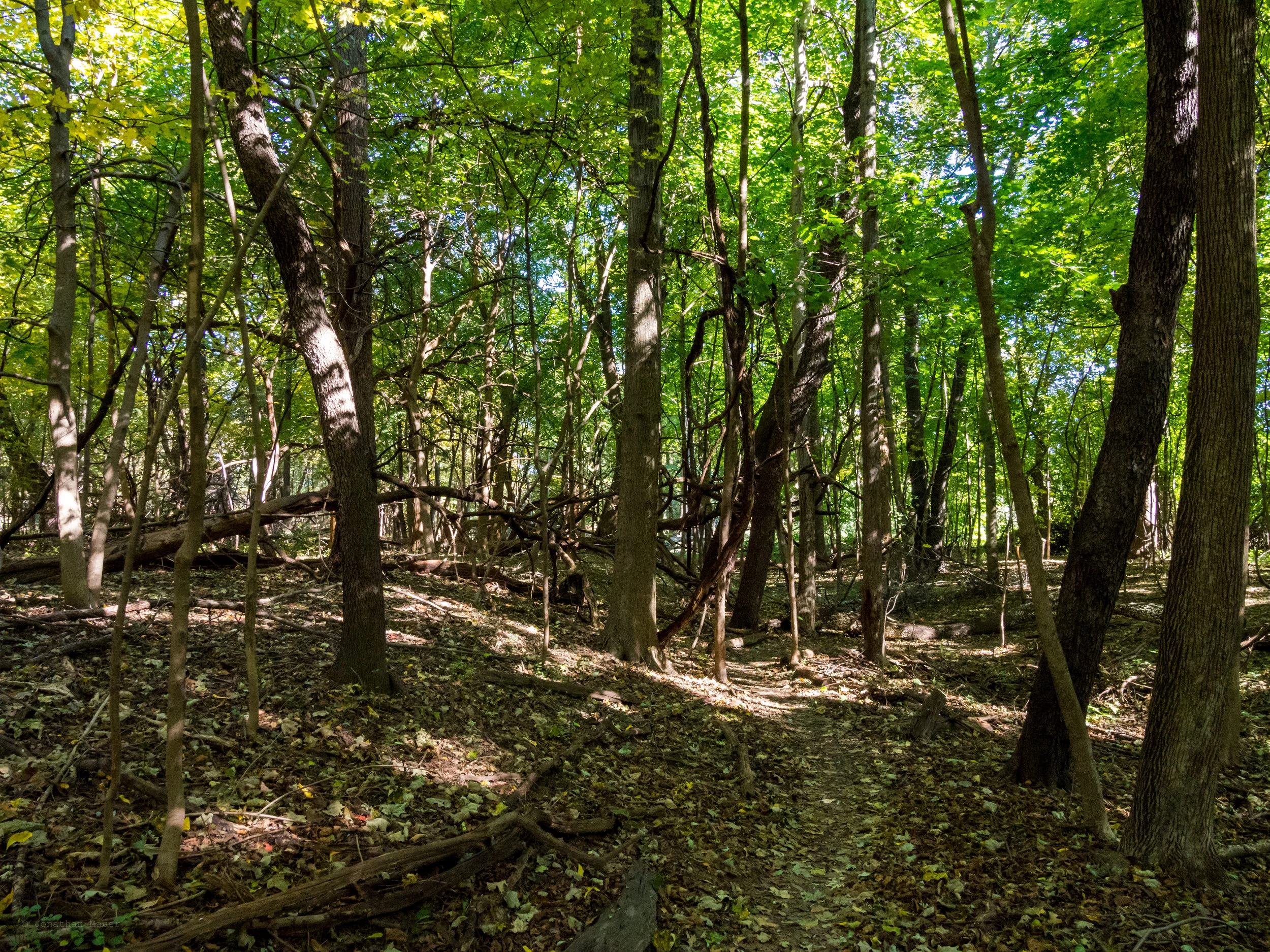 Fairmount-8.jpg