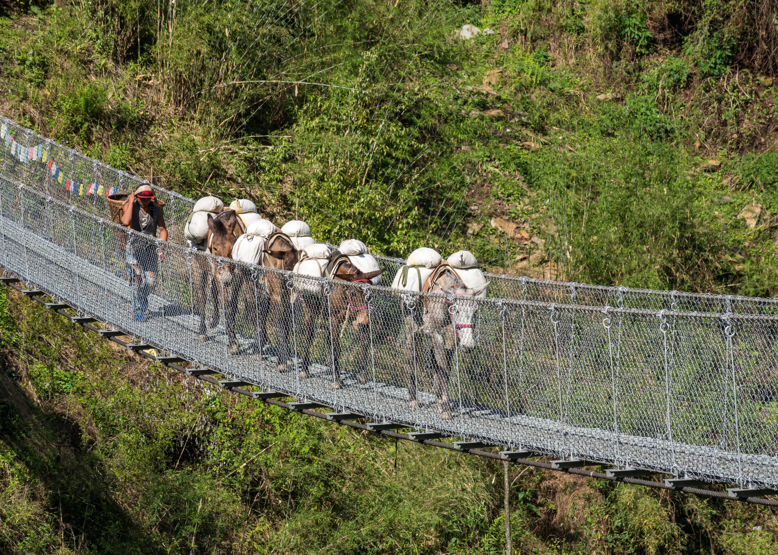 Nepal-27.jpg