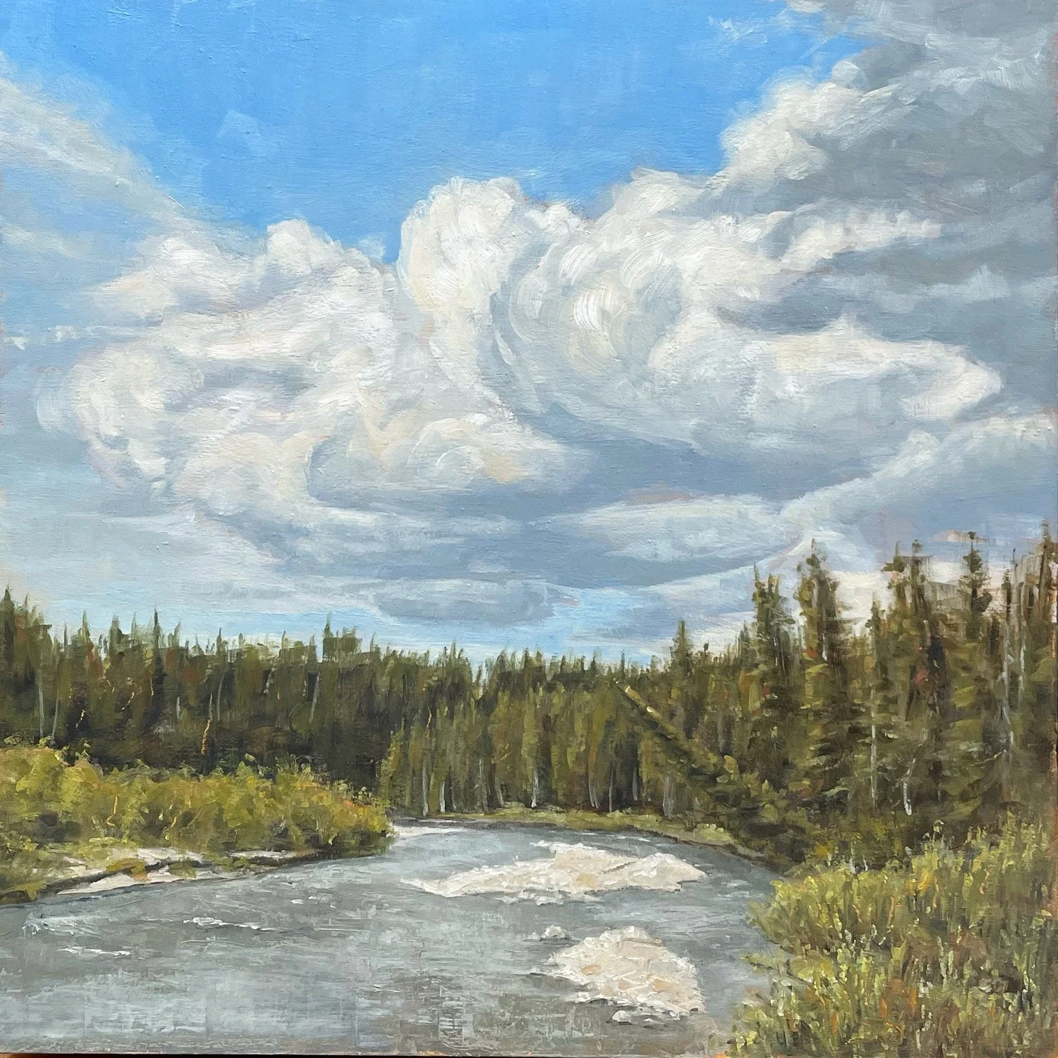 BorealCloud.JPG