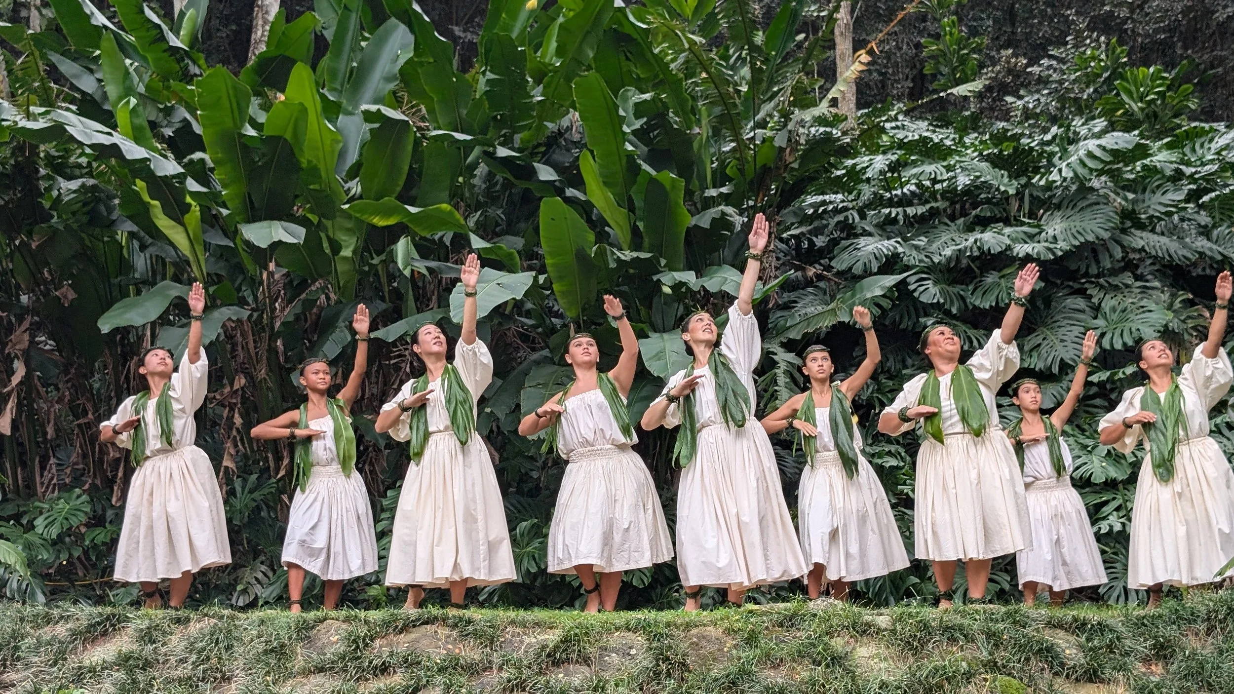 Waimea Valley Performance