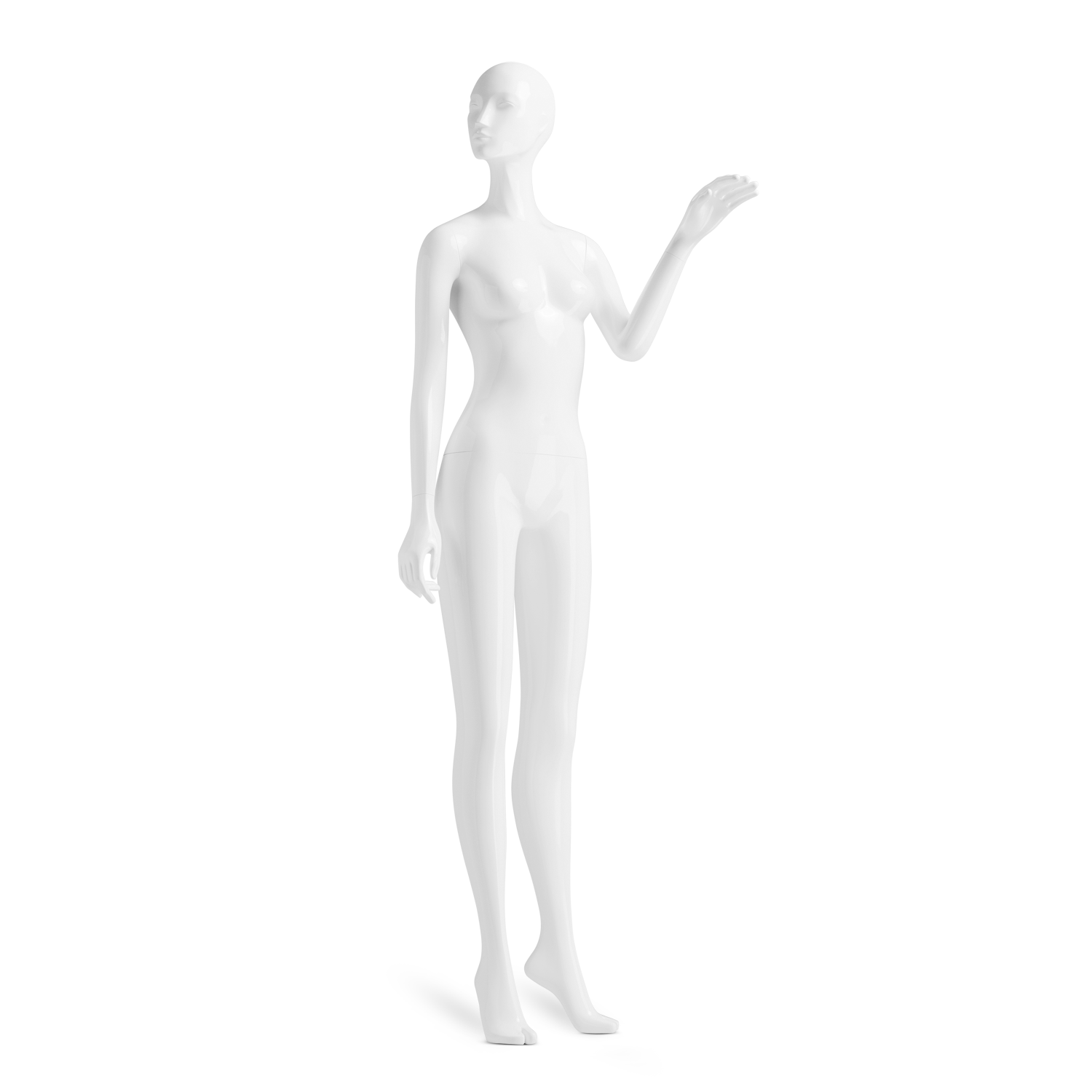 F8505.png