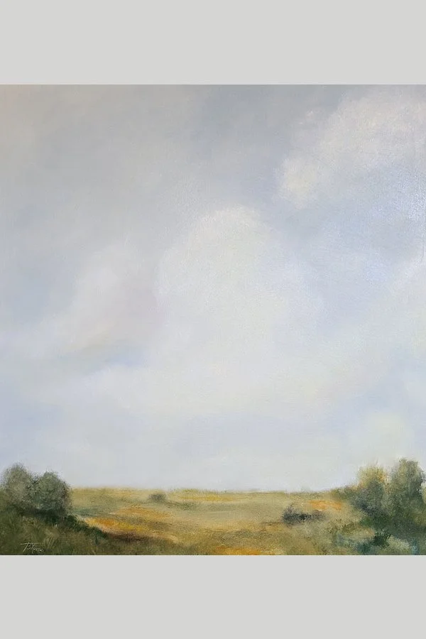Countryside Cloudscape 1.jpg