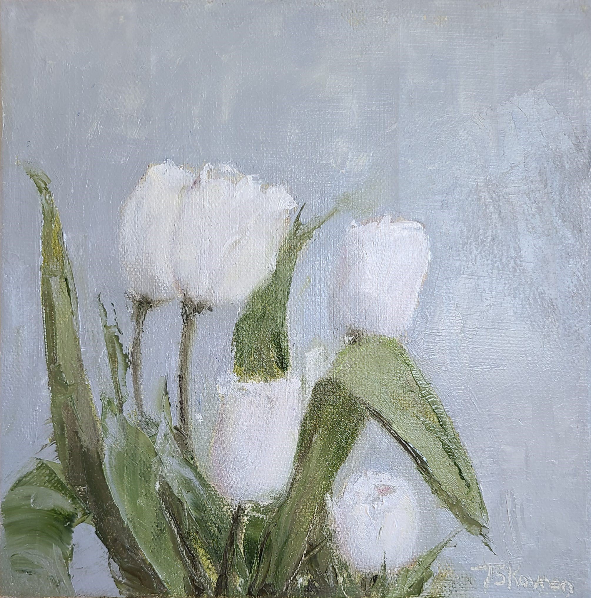 White Tulip Stems -  9in x 9in oil (framed), .jpg