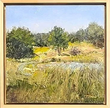 Woodsom field, Amesbury MA - oil framed.jpg