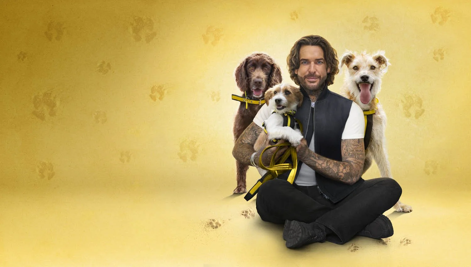 PETEWICKS_FDS_S2_KEYART_9933X5621 RGB.jpg