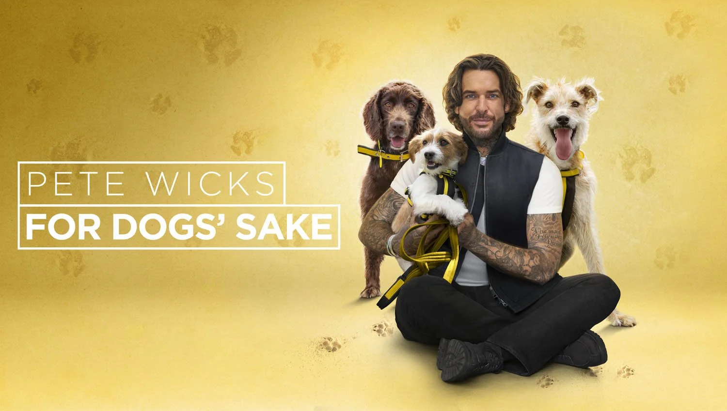 PETEWICKS_FDS_S2_KEYART_3820x2160 RGB_TT_1.jpg