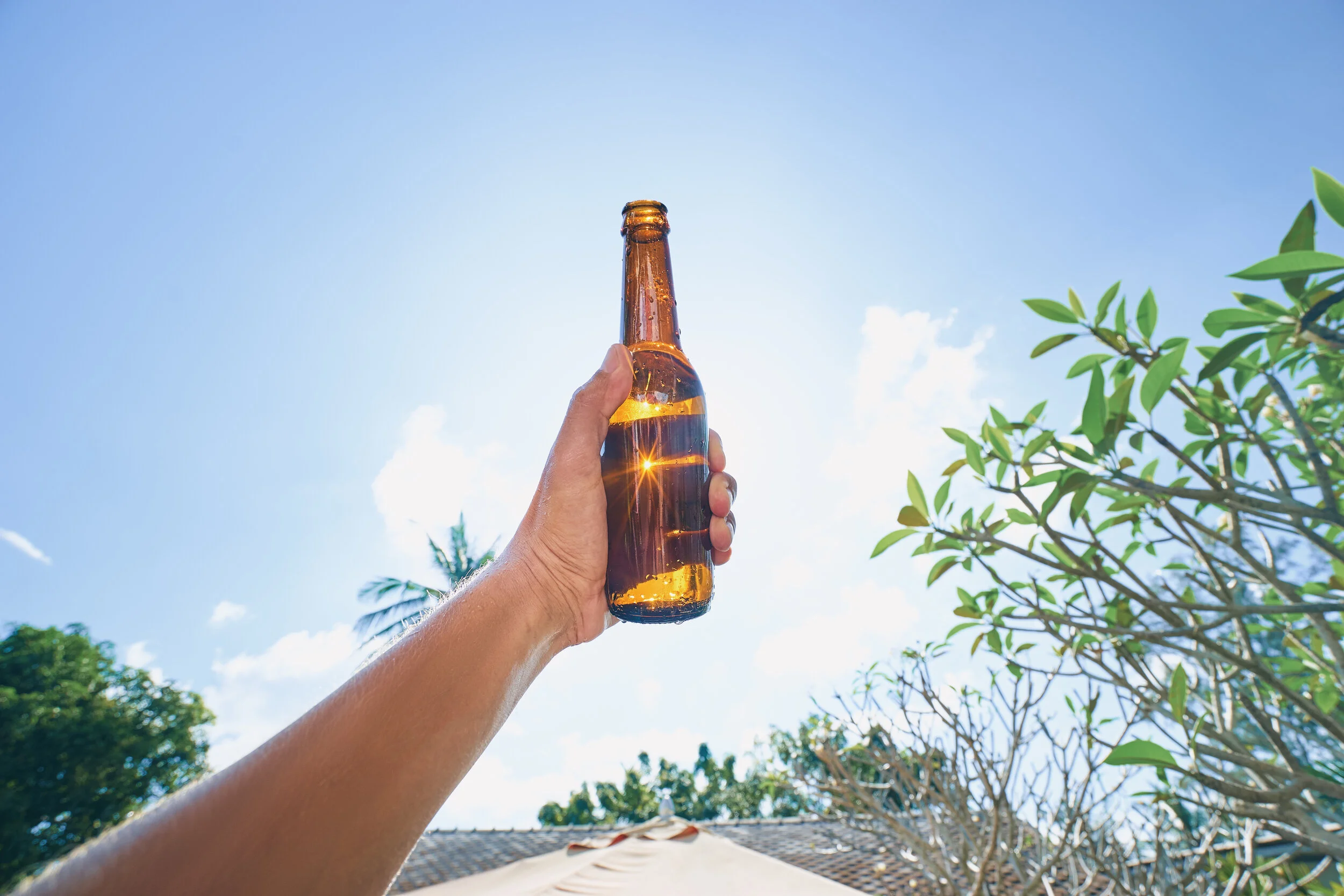 DrinksReform
