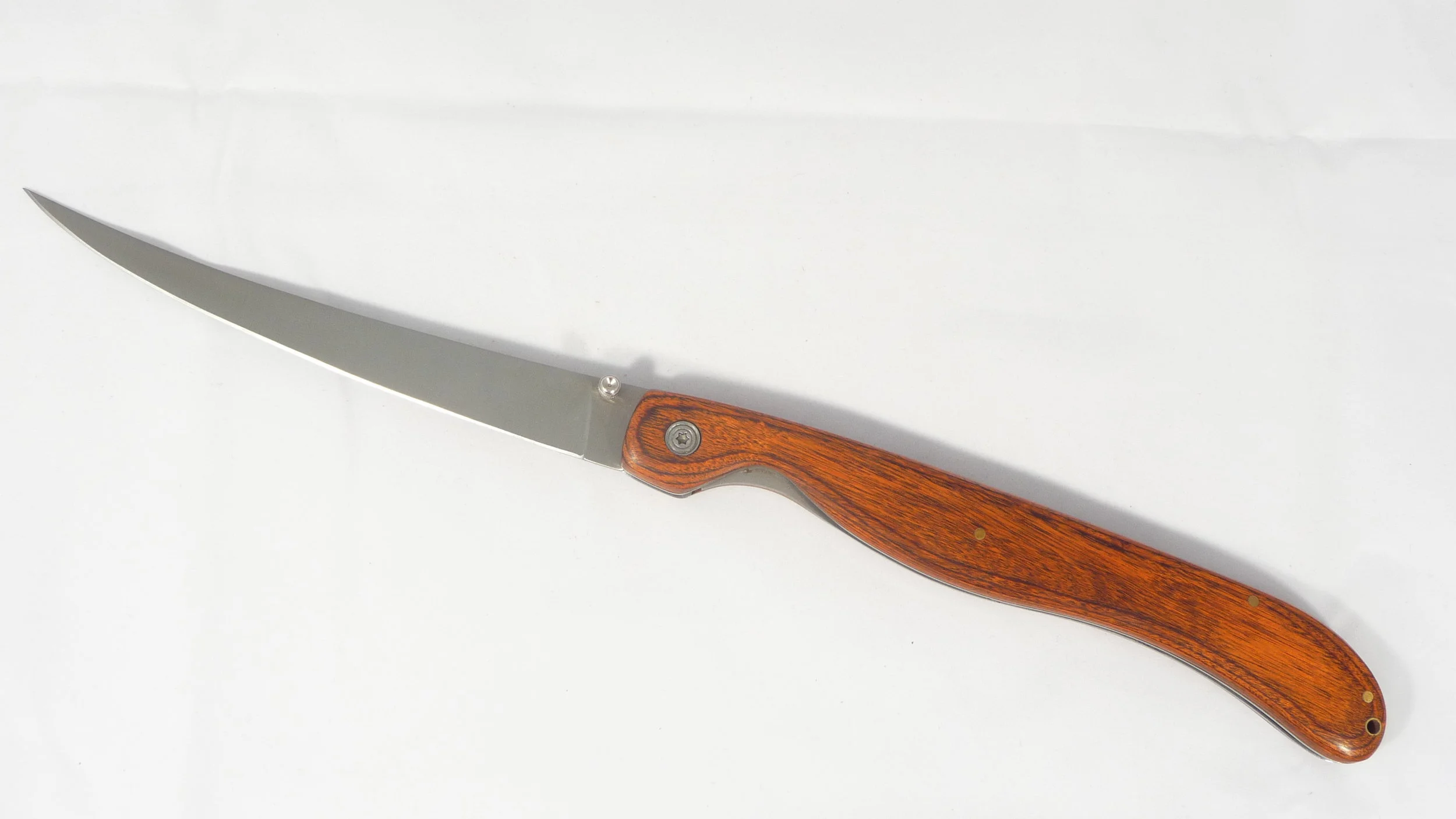 Folding Fish Filet Knife - 3.JPG