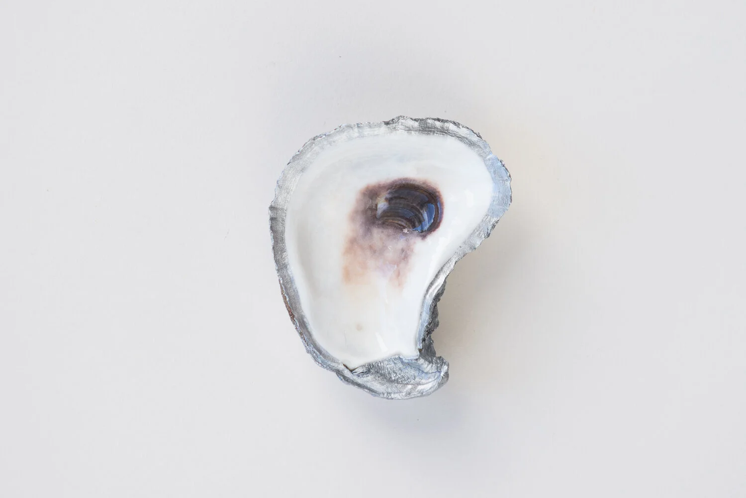 Silver Oyster Shell Dish