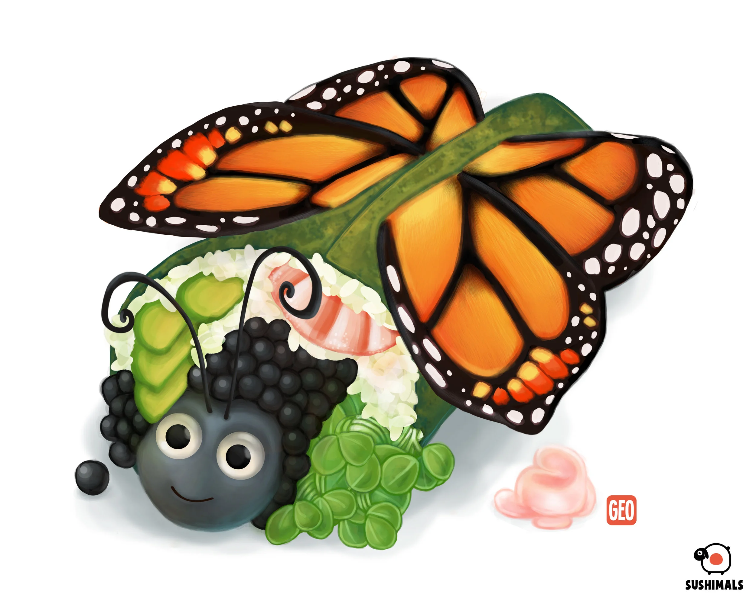 butterfly_white.jpg