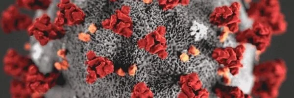 C.M. Consulting & Financ, Inc..jpg