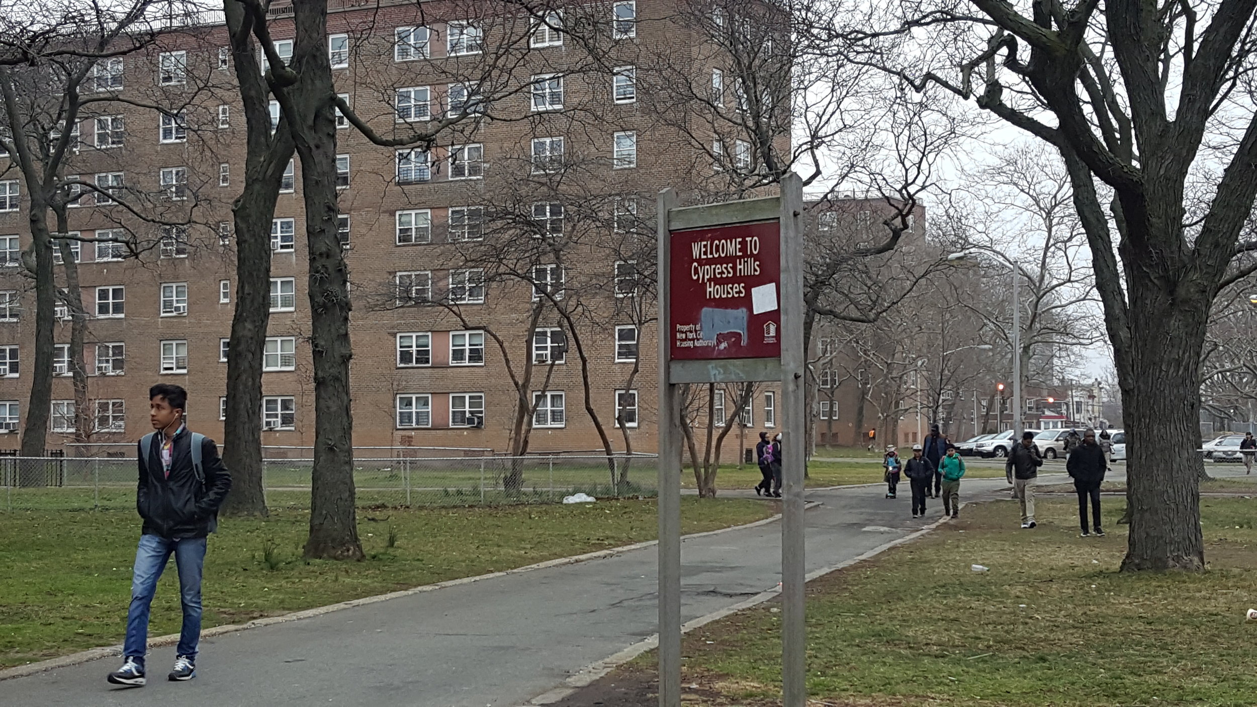 The Cypress Hills housing project is across the street from School for Classics.