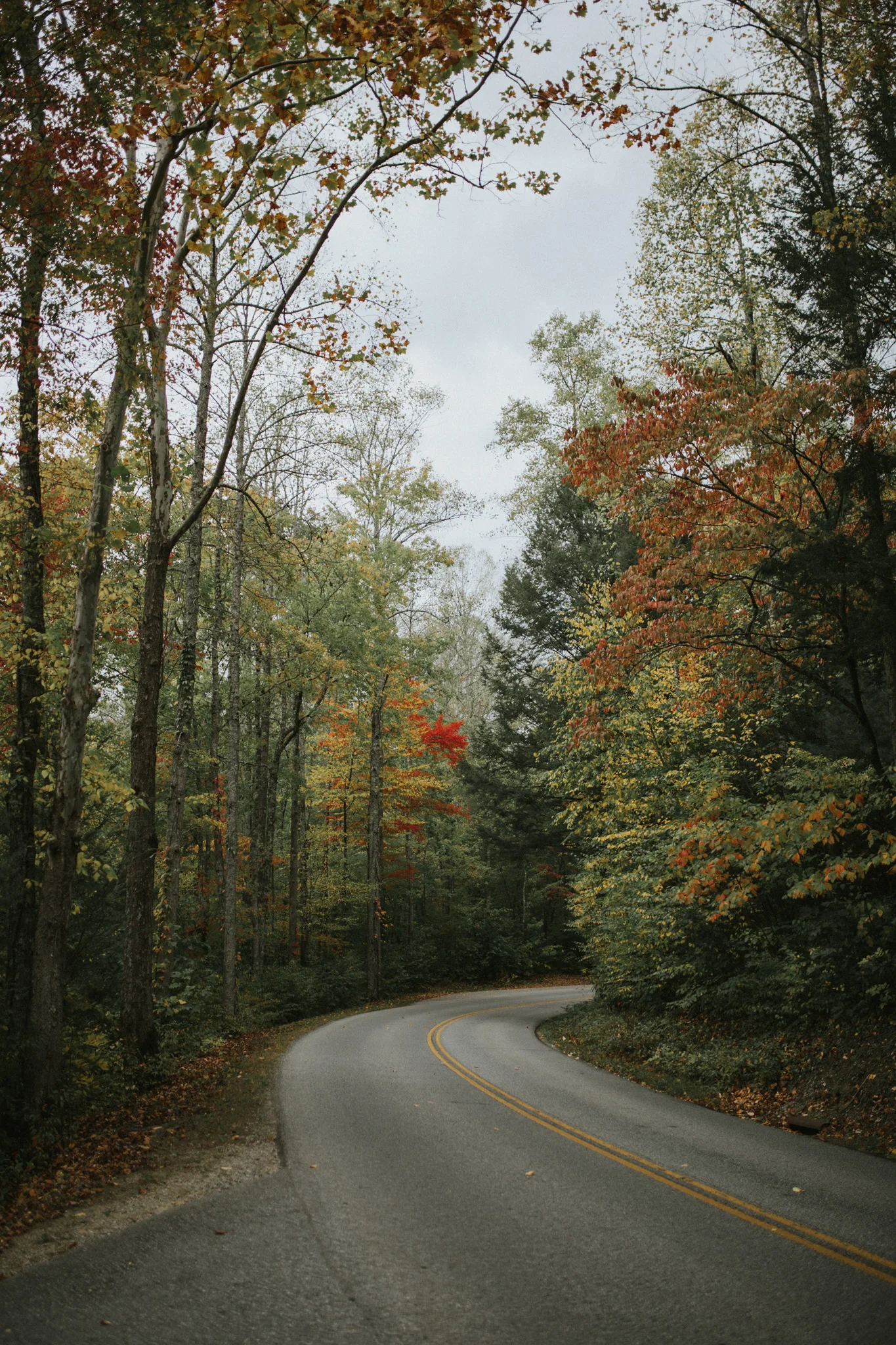 154A6168.jpg