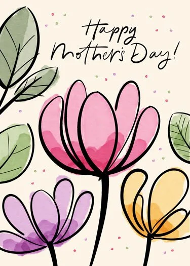 Illustrated Greetings Cards