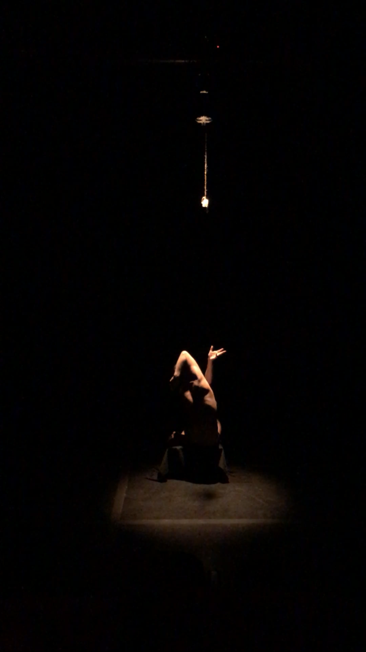 a New dance offering at Spectacle Garden 8 : Solstice show