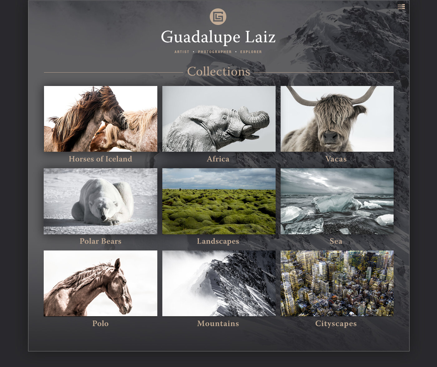 衝撃特価 Horses of Iceland Guadalupe Laiz confmax.com.br