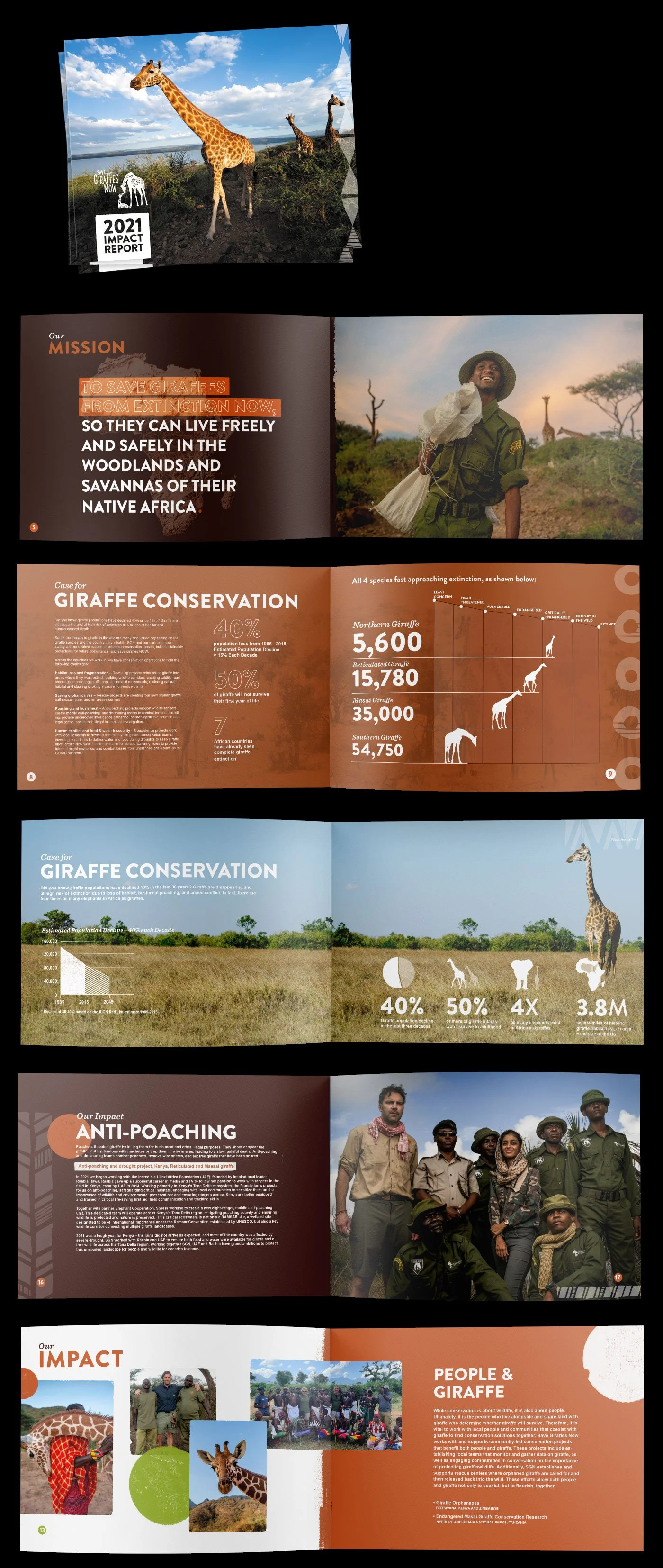 Impact Report for Save Giraffes Now
