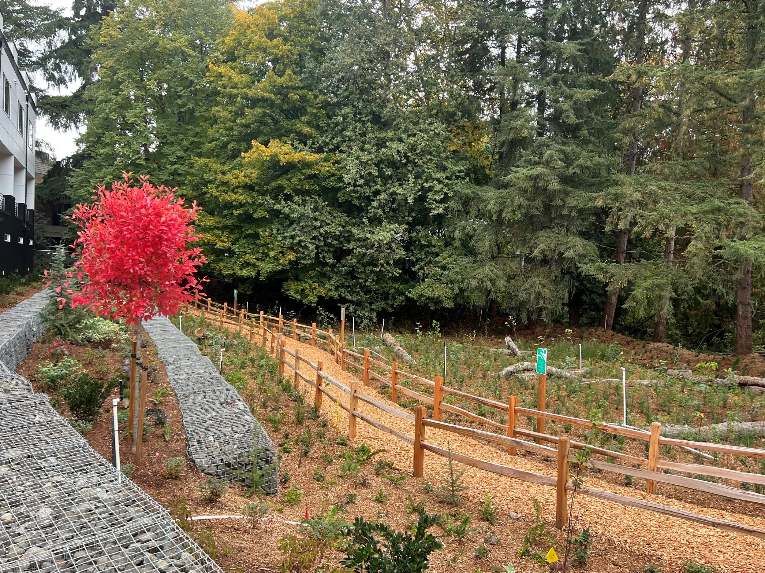 Outside2.jpg