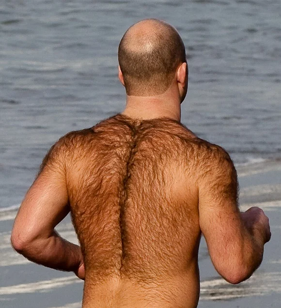 bald-man-hairy-back.jpg