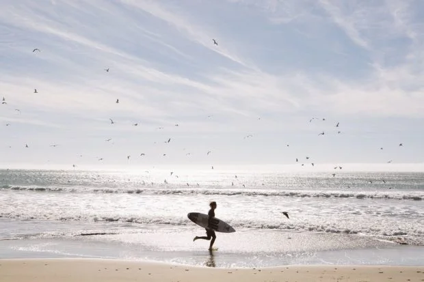 vissla-620x413.jpg