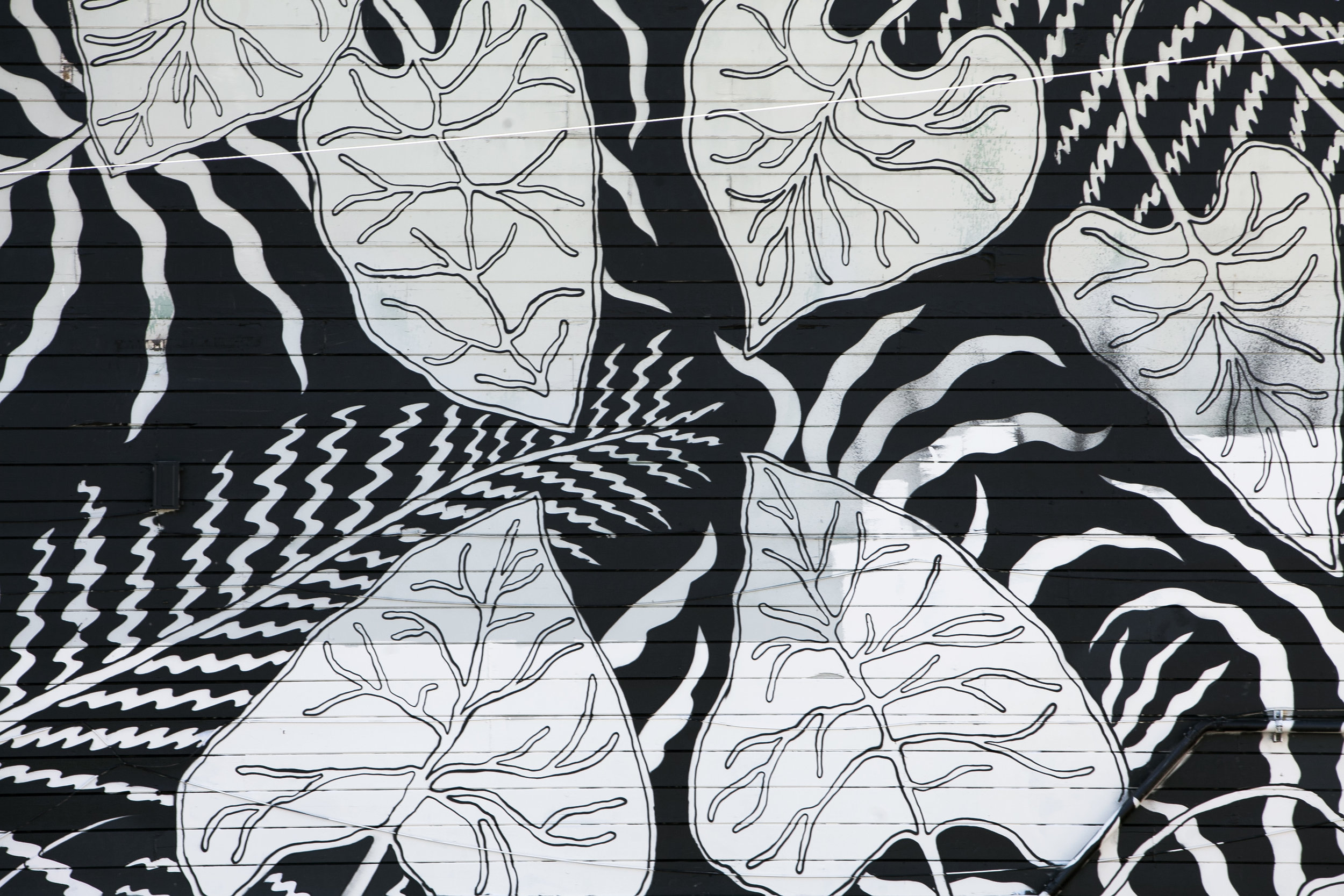 Artist Cameron Dill's New Oakland Mural