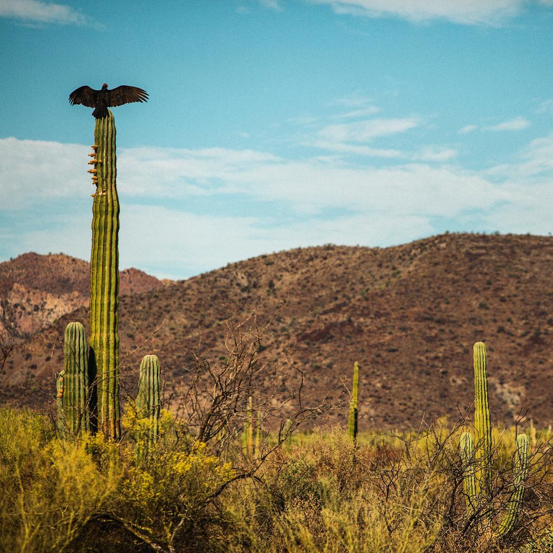 Photo by Drew Martin.