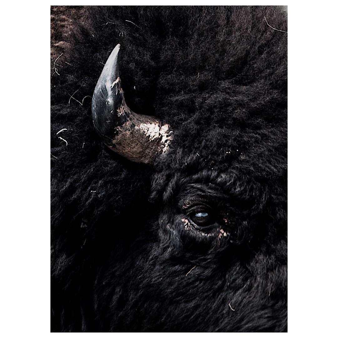 Photo by Bryant Jordan.