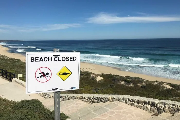 West Oz: Two Shark Attacks In One Day Put Margaret River Pro On Hold