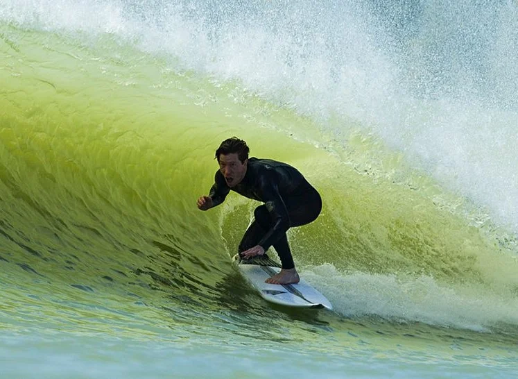 Shaun White, Tony Hawk & Eddie Vedder Surf Kelly Slater's Wave Pool