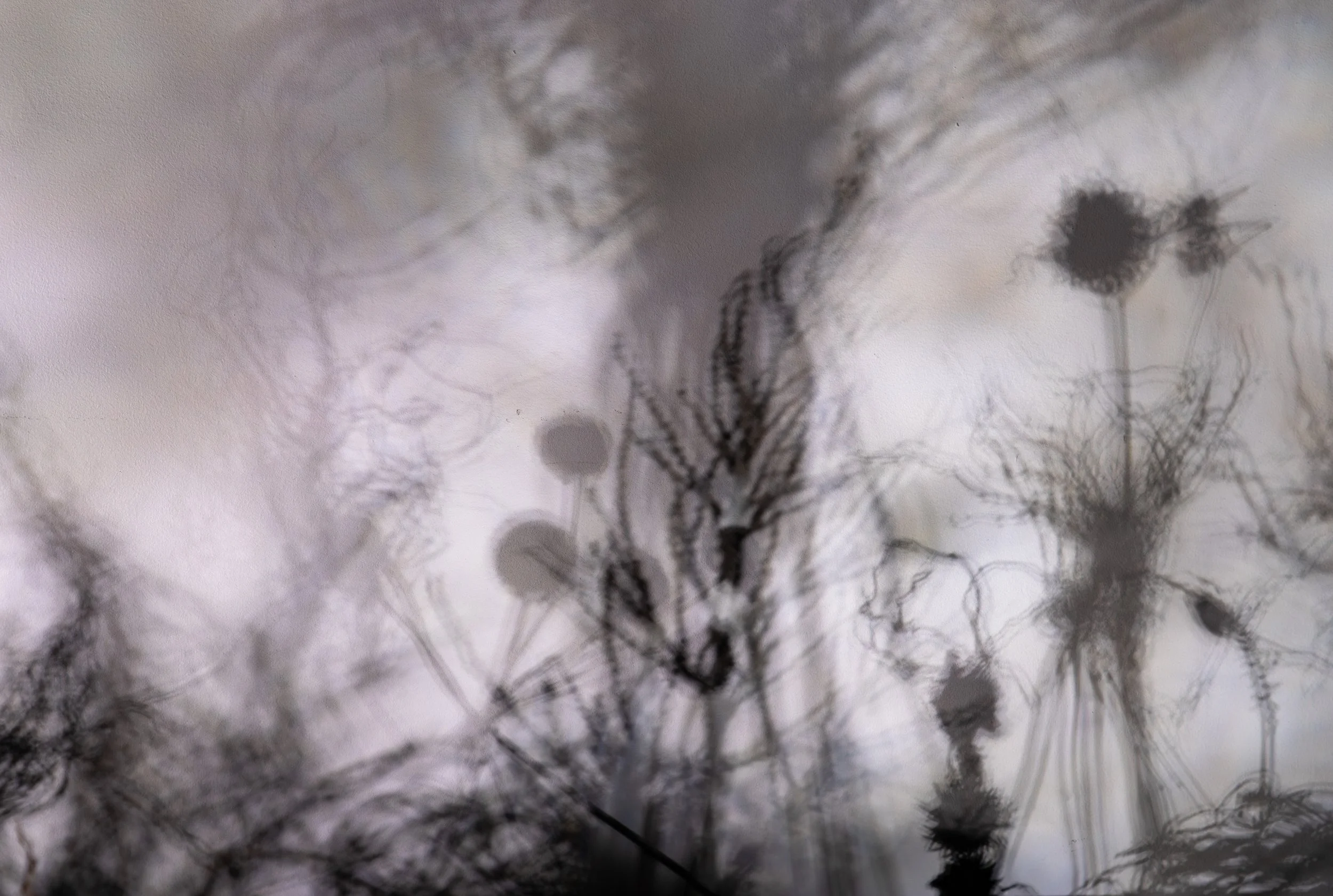      

 
    The Banshees and Their Fairy Friends in the Shadow Forest  Zini Lardieri  GALLERY I 
 




















  
  



    










































  

    
  
     

      

      
         
          
        
        

