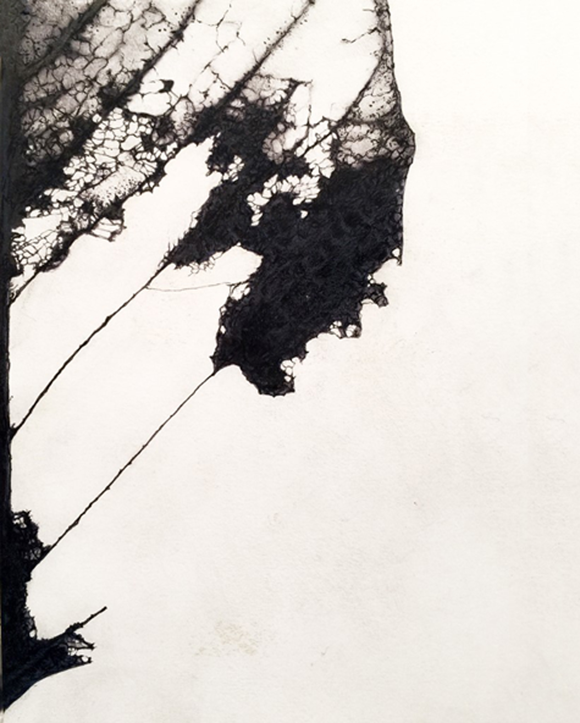 Untitled #12 , 2015, Graphite on prepared paper