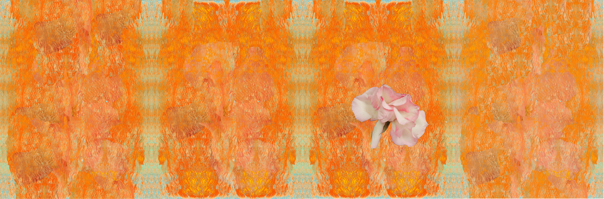 They Will Become Pink Mist , 2016, Pigment print, 17 x 63 inches