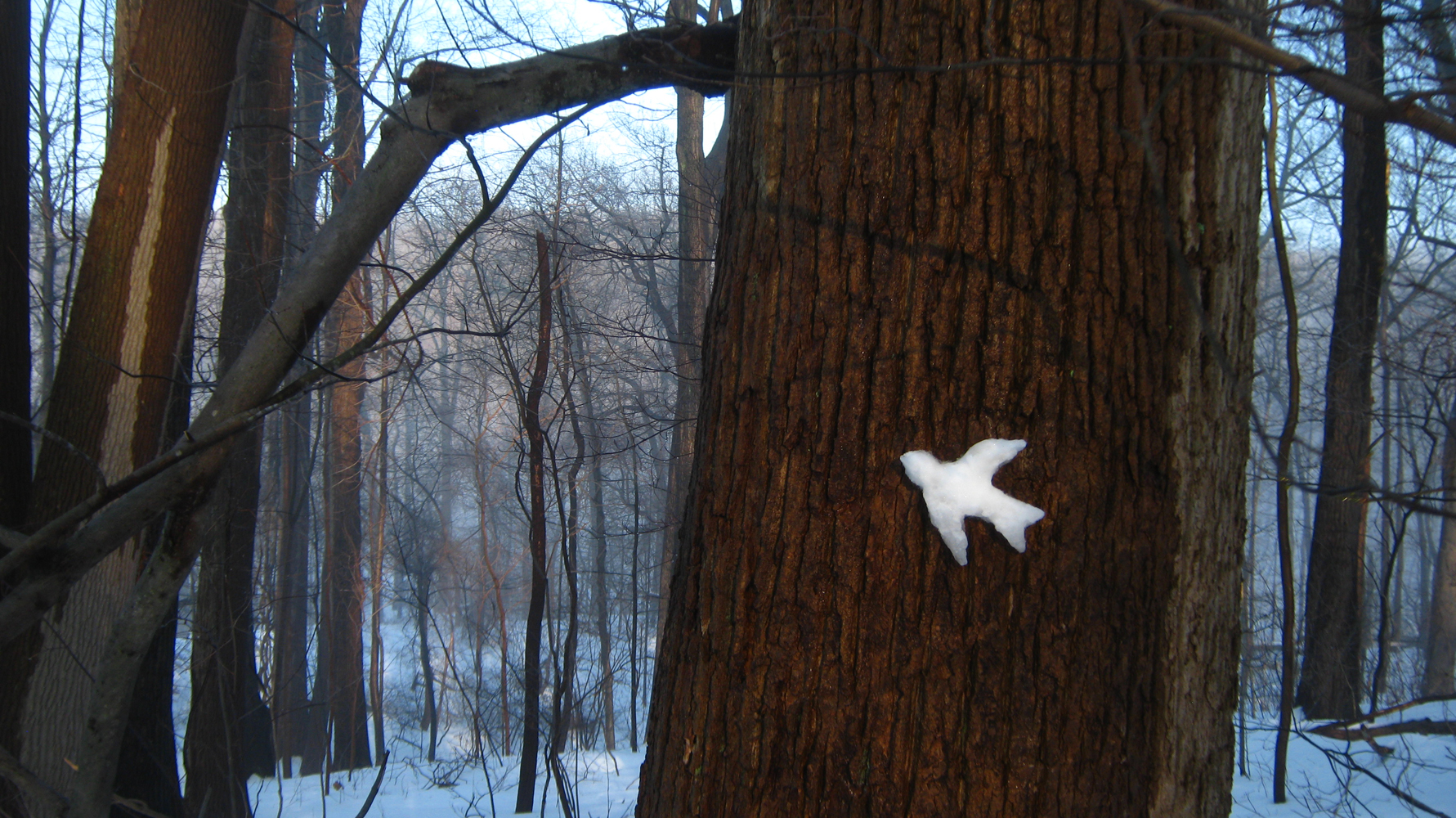  Barbara Roux, Snow Bird, 2014, Digital print of Roux's site sculpture, 13 x 19"