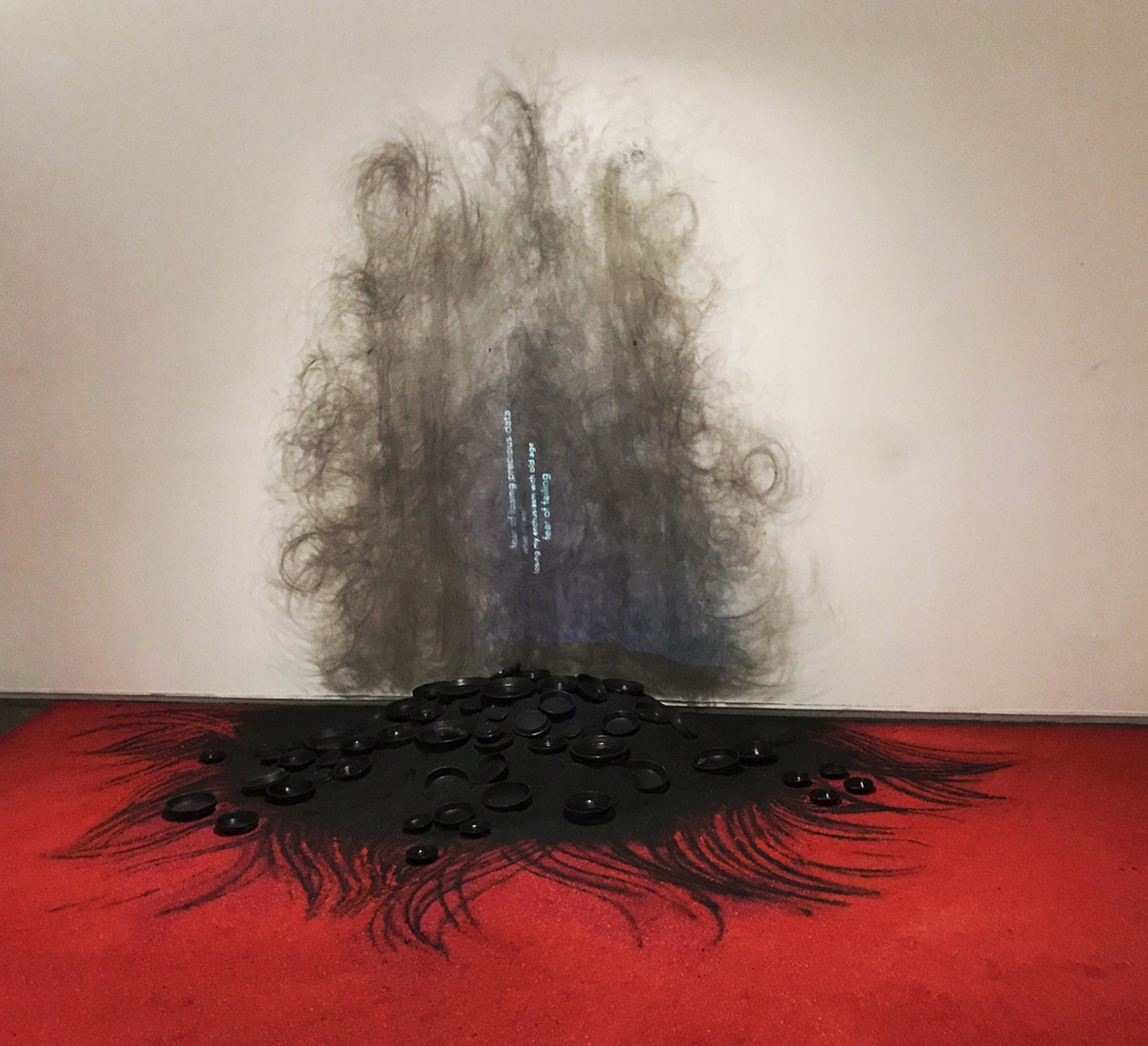 Installation view, Jayanthi Moorthy, What's Your Worst Fear , 2017