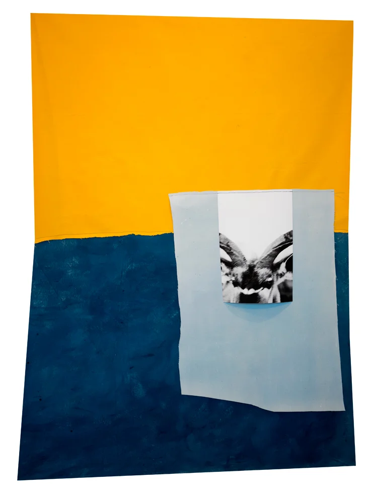 Alice Quaresma, Dream Land , 2017, Paper cutour sewn onto photo print