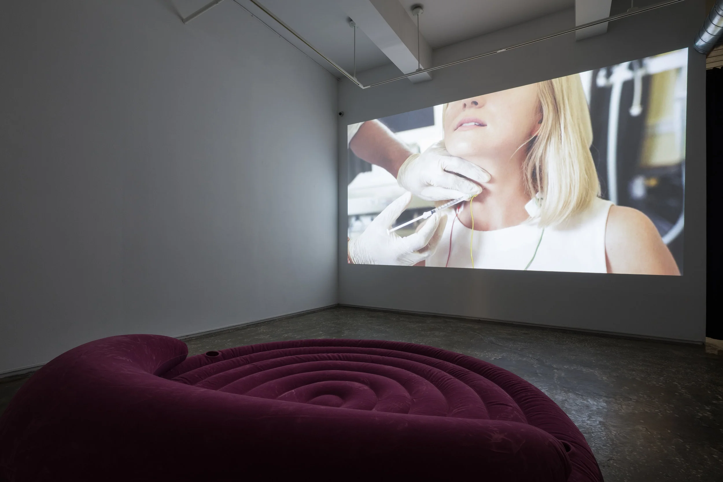 Marianna Simnett, The Needle and the Larynx , 2016