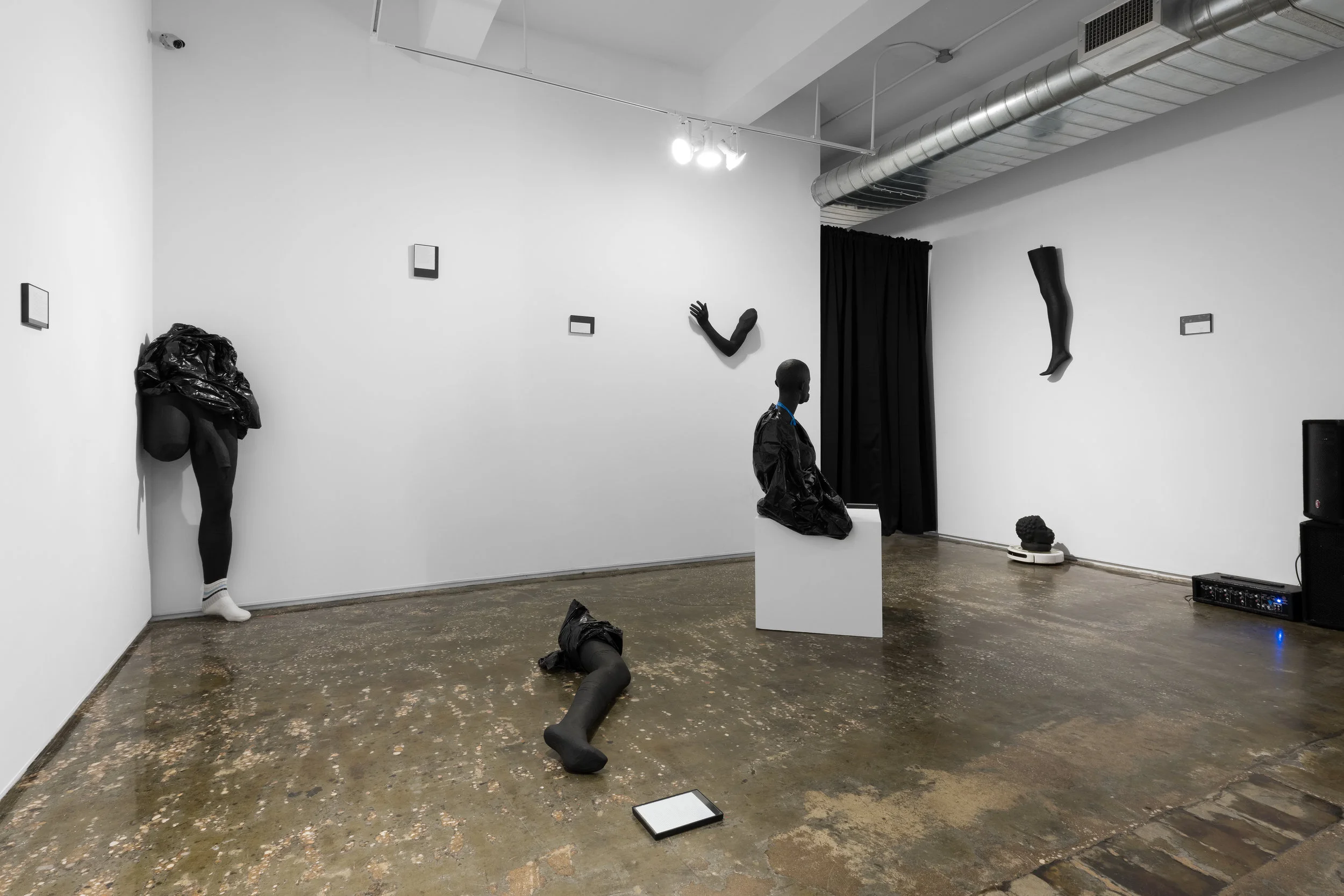 Installation view.