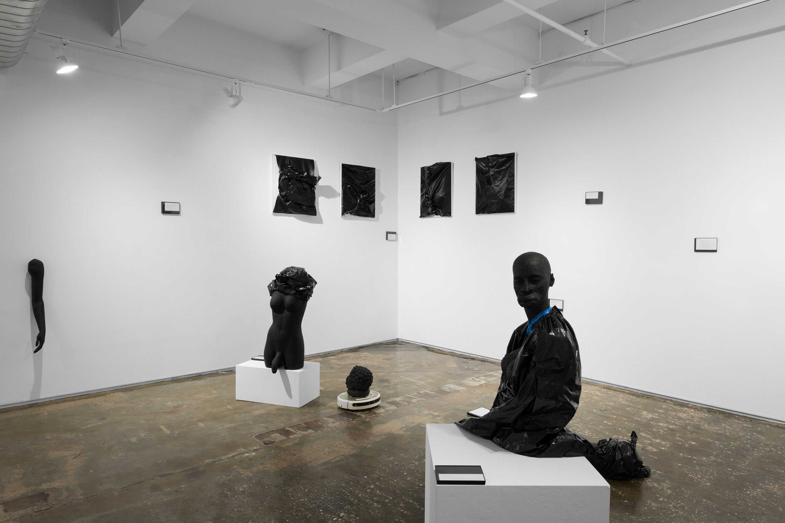  Installation view. 