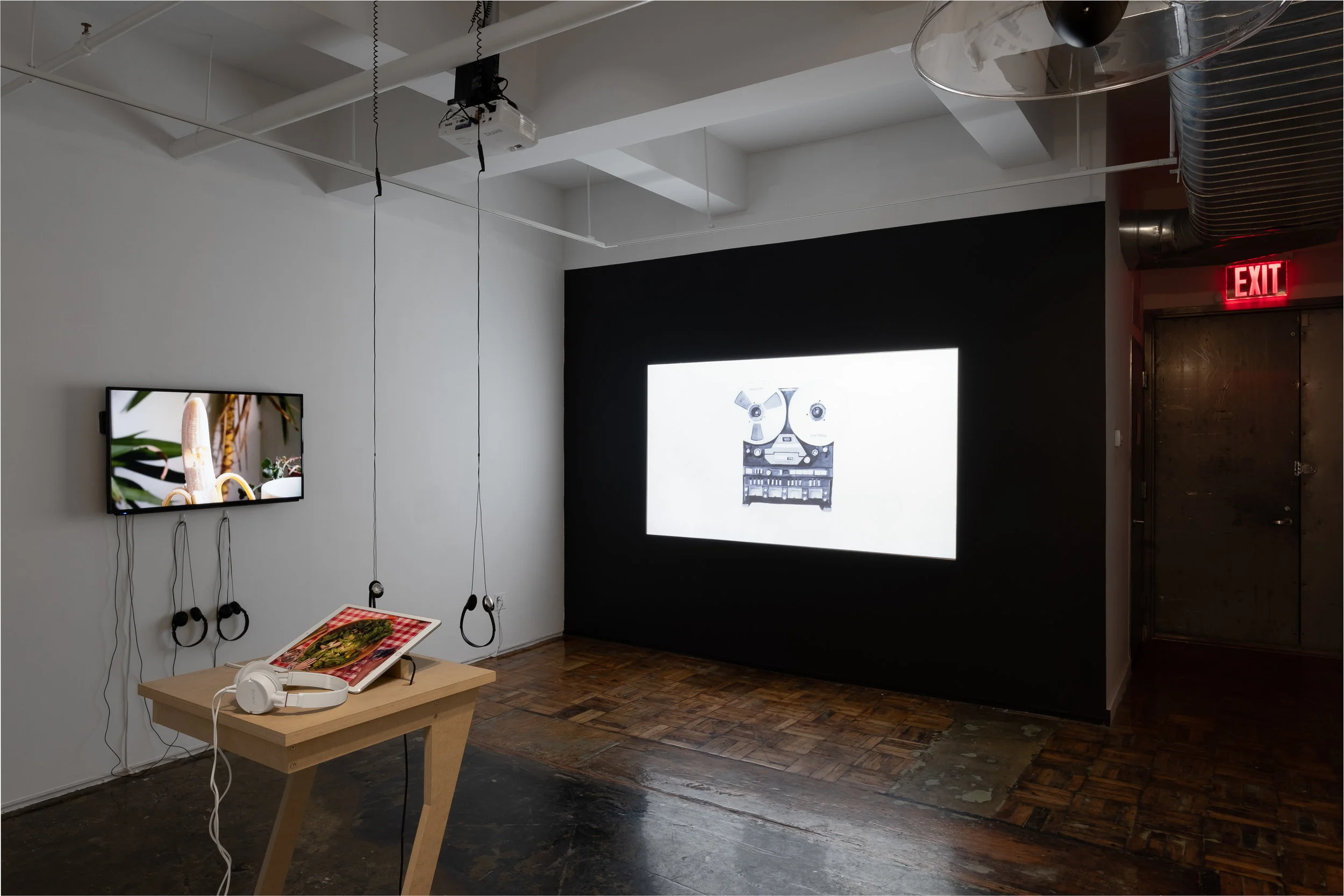 Installation view.