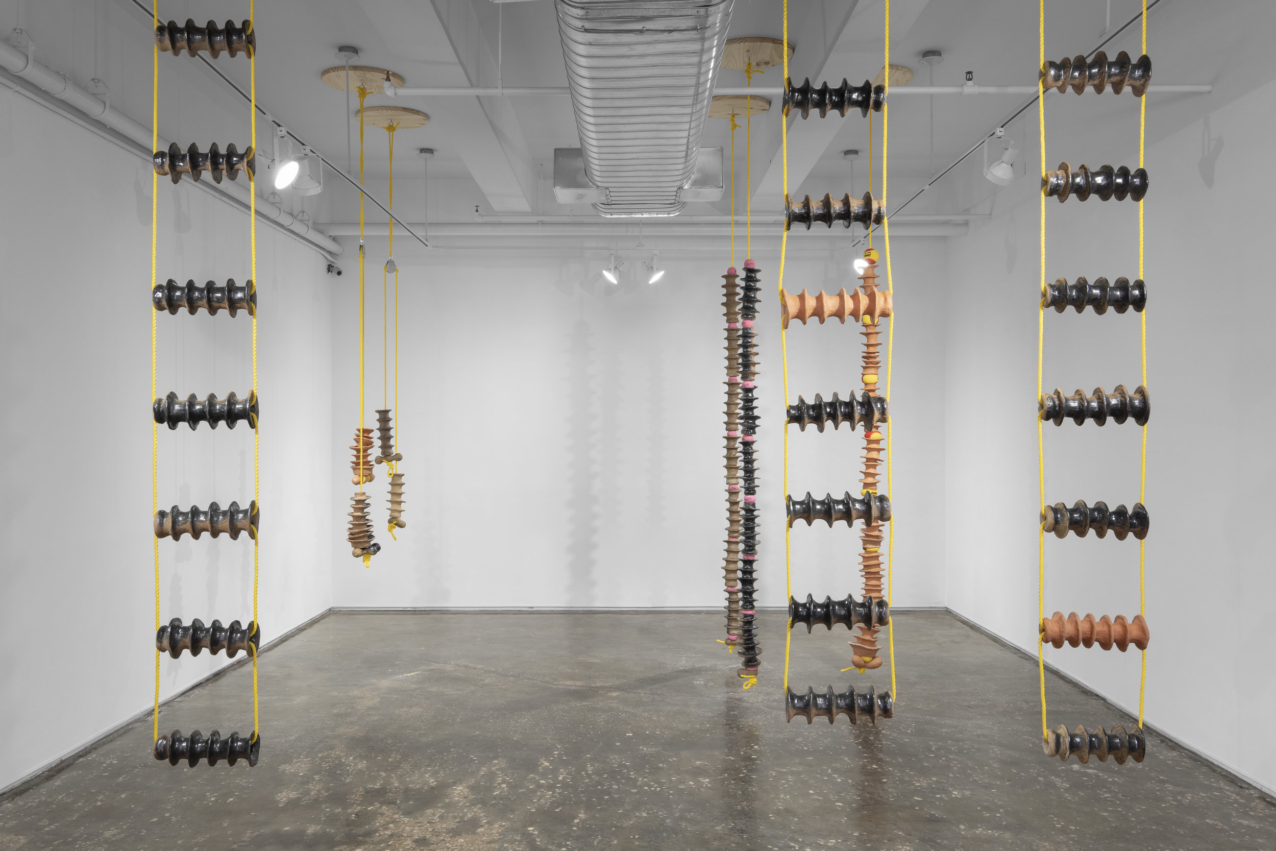 Sylvia Netzer, Virtebrae installation shot by Sebastian Bach