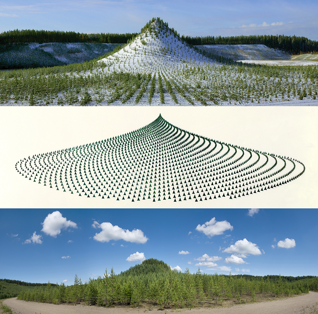 Tree Mountain—A Living Time Capsule— 11,000 Trees, 11,000 People, 400 Years