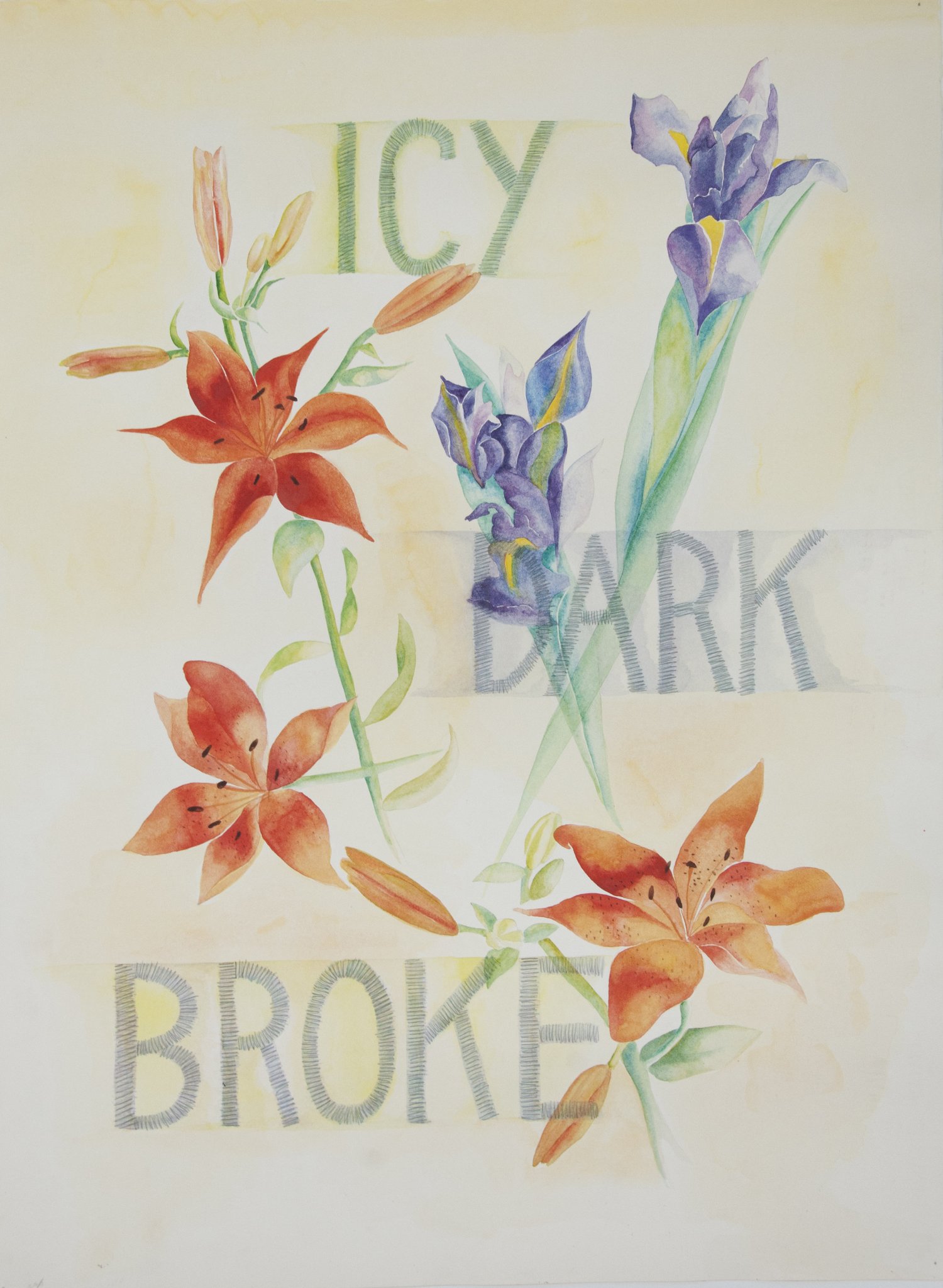 Rosemary Mayer — A.I.R.